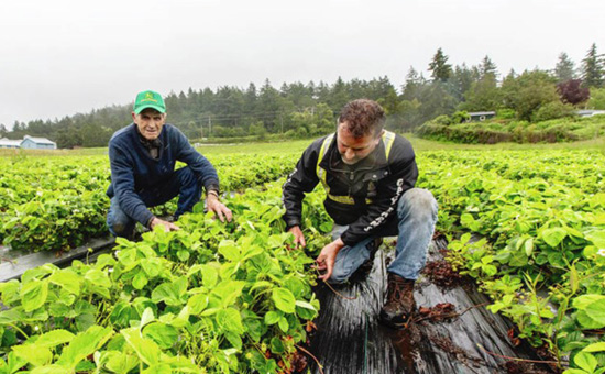 Spring Prep at Galey Farms